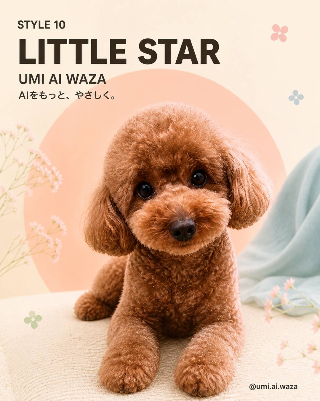 LITTLE STARの例2
